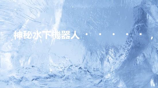 神秘水下機器人，解密沉淀池的黑暗奧秘！